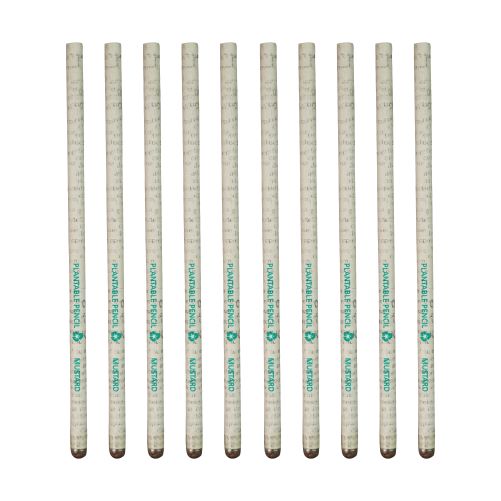 Bamboo Haat Recycled Paper Plantable Pencil