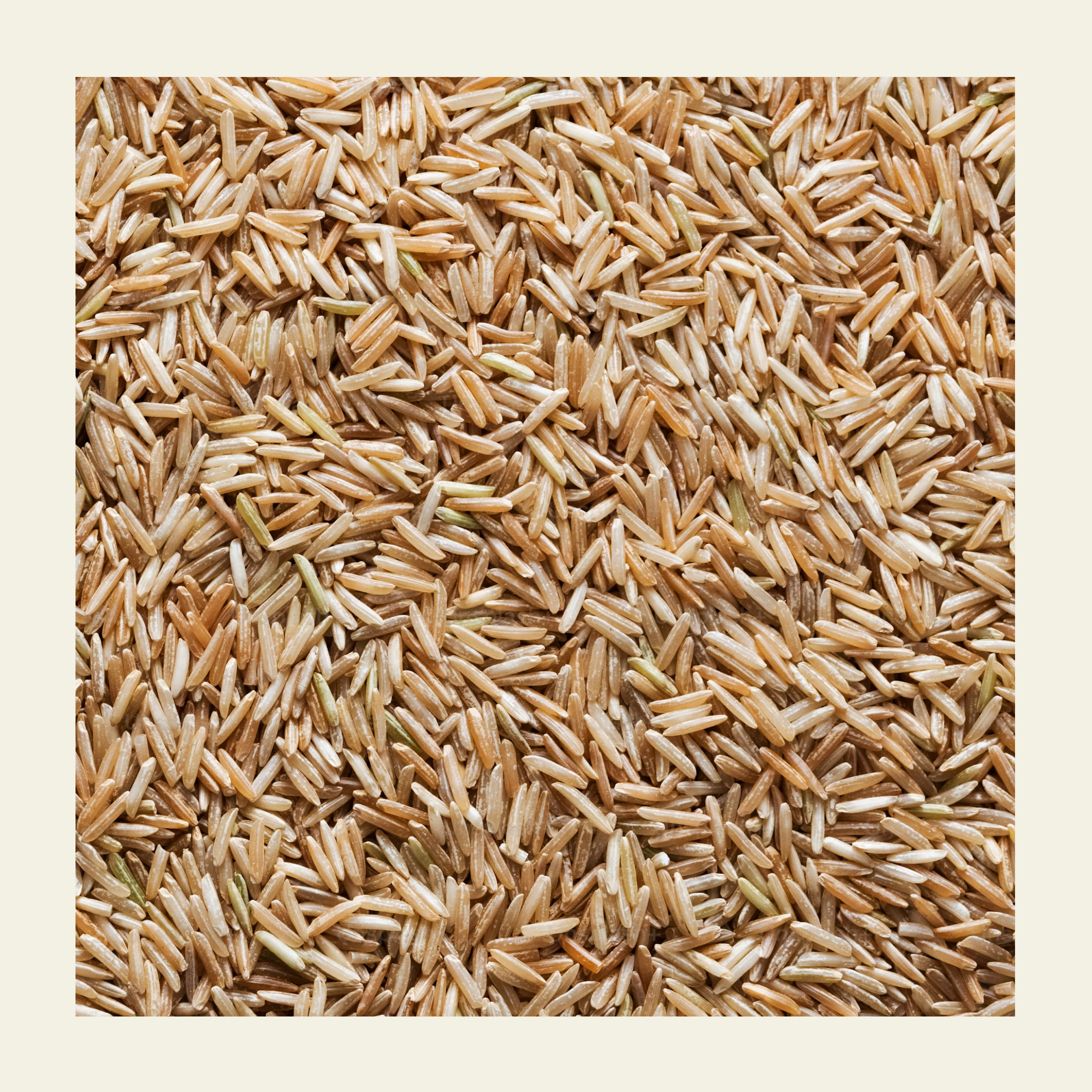 Soil Origin Brown Bashmati Rice - 500 Gm