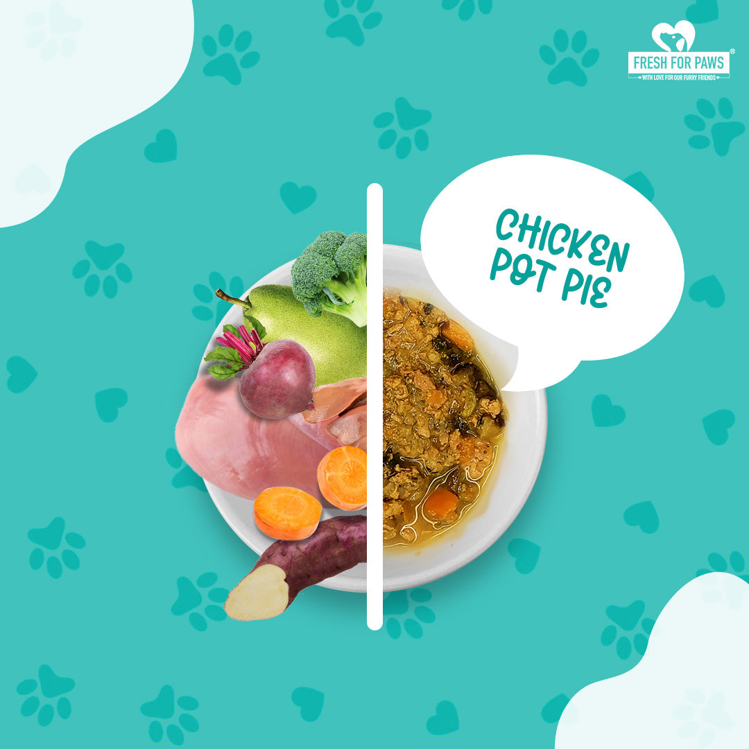 Fresh For Paws Chicken Pot Pie Dog and Cat Food