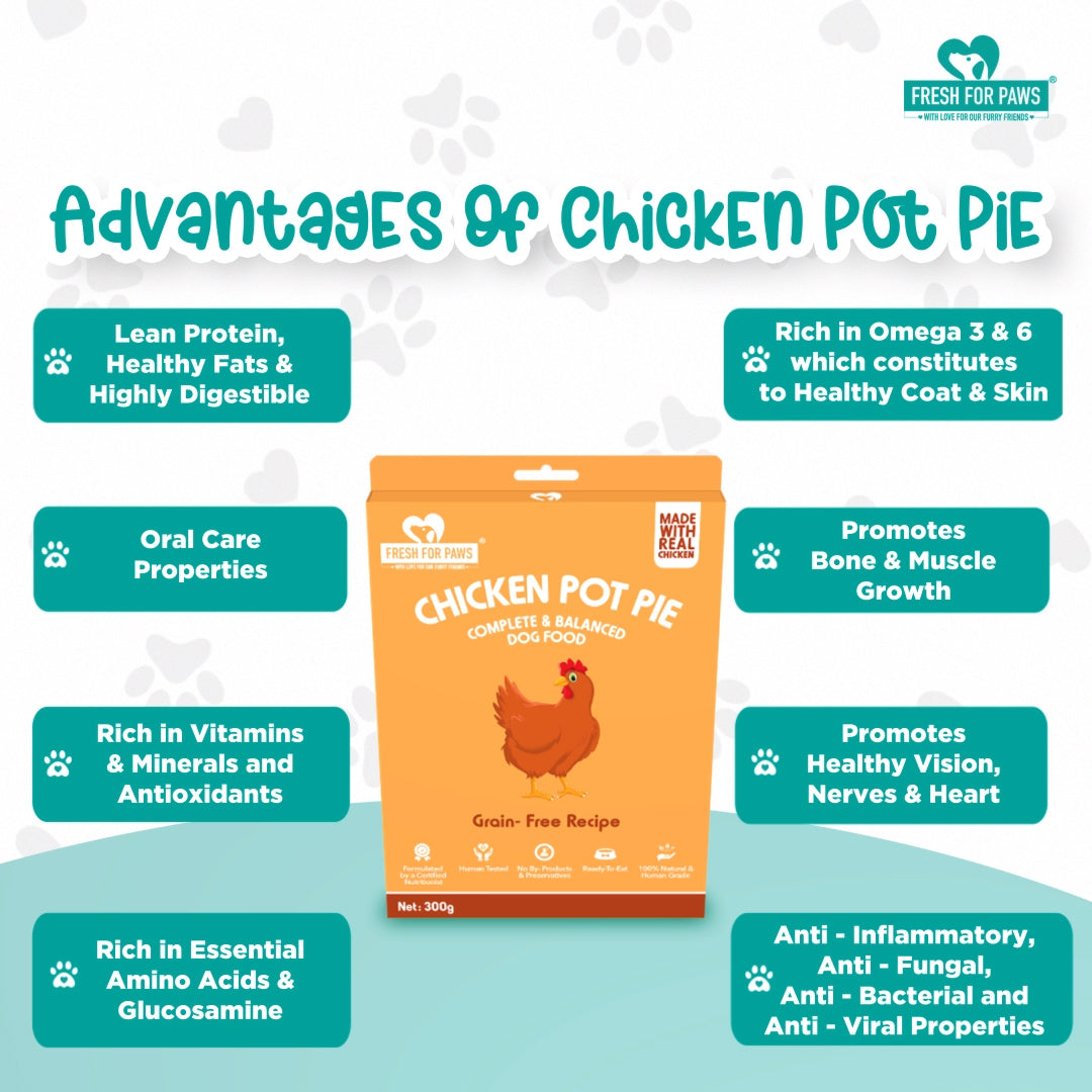 Fresh For Paws Chicken Pot Pie Dog and Cat Food