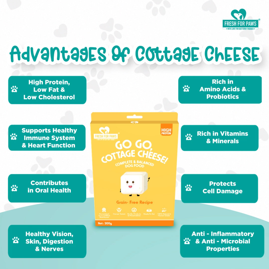 Fresh For Paws Go, Go, Cottage Cheese Dog Food