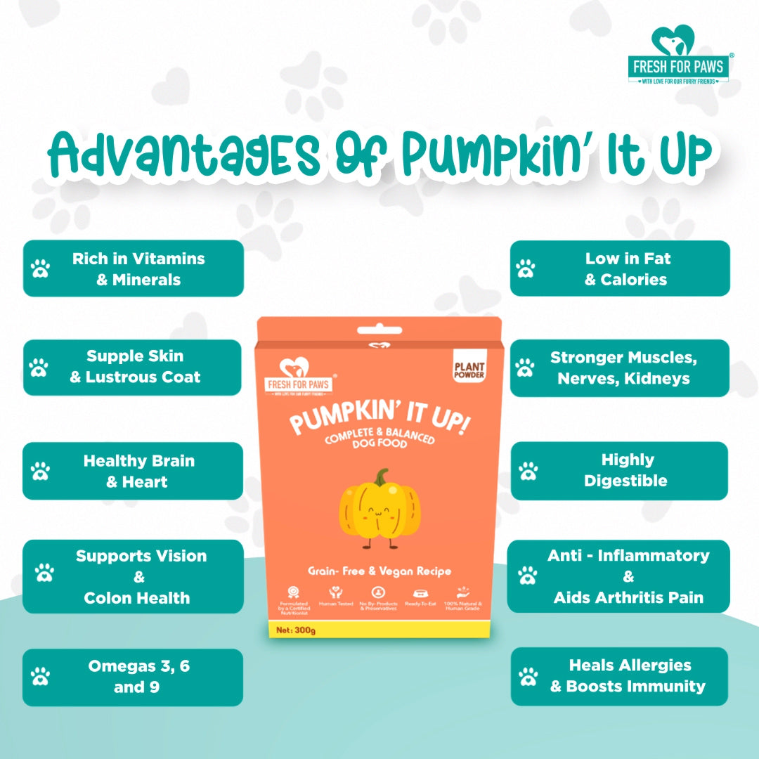 Fresh For Paws Pumpkin' It Up Dog Food