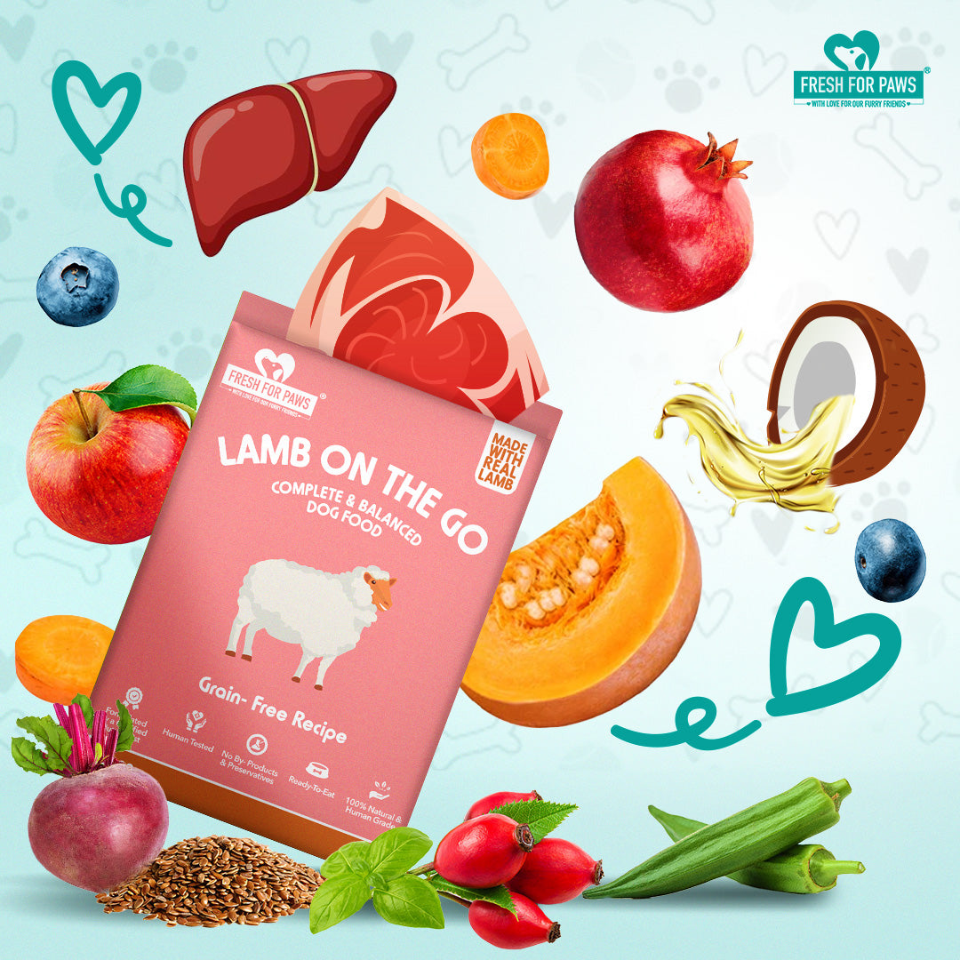 Lamb On The Go Dog and Cat Food