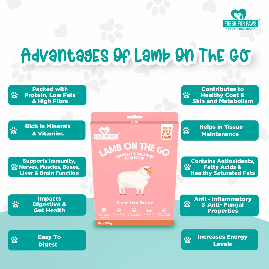 Lamb On The Go Dog and Cat Food