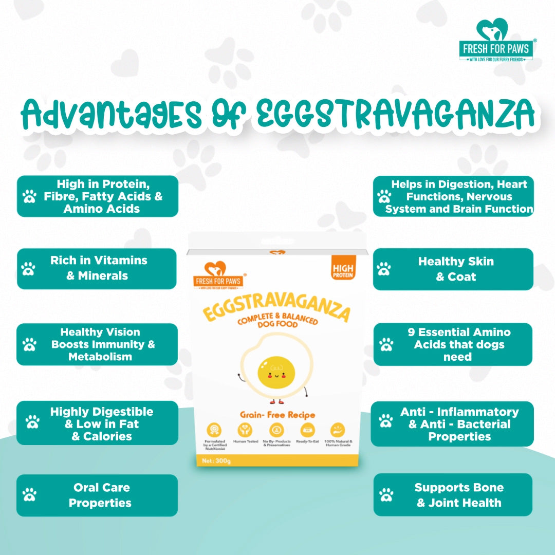 Eggstravaganza Dog Food