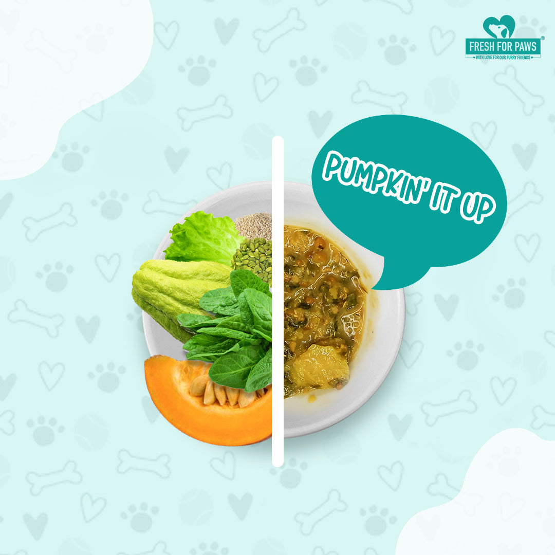 Fresh For Paws Pumpkin' It Up Dog Food