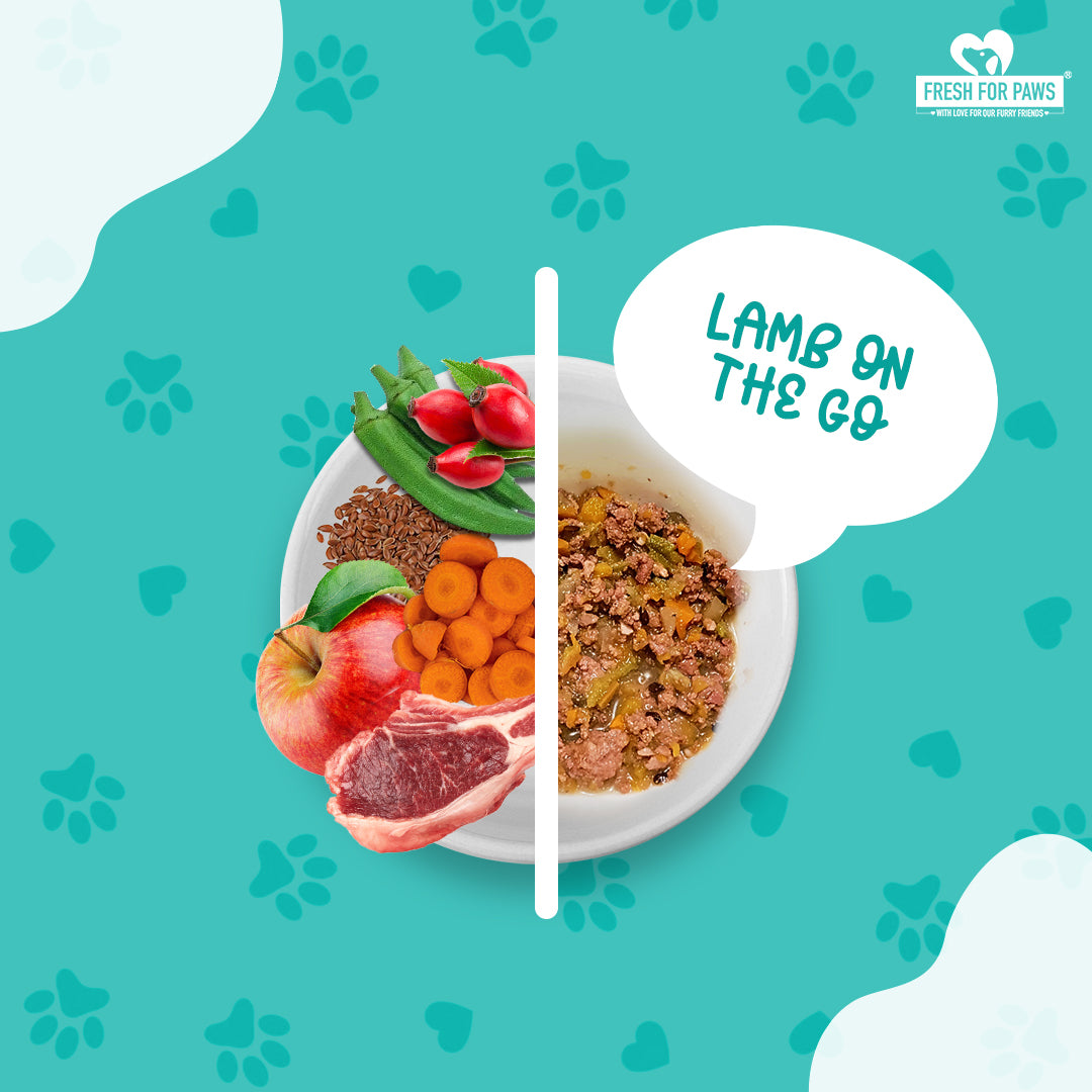 Lamb On The Go Dog and Cat Food