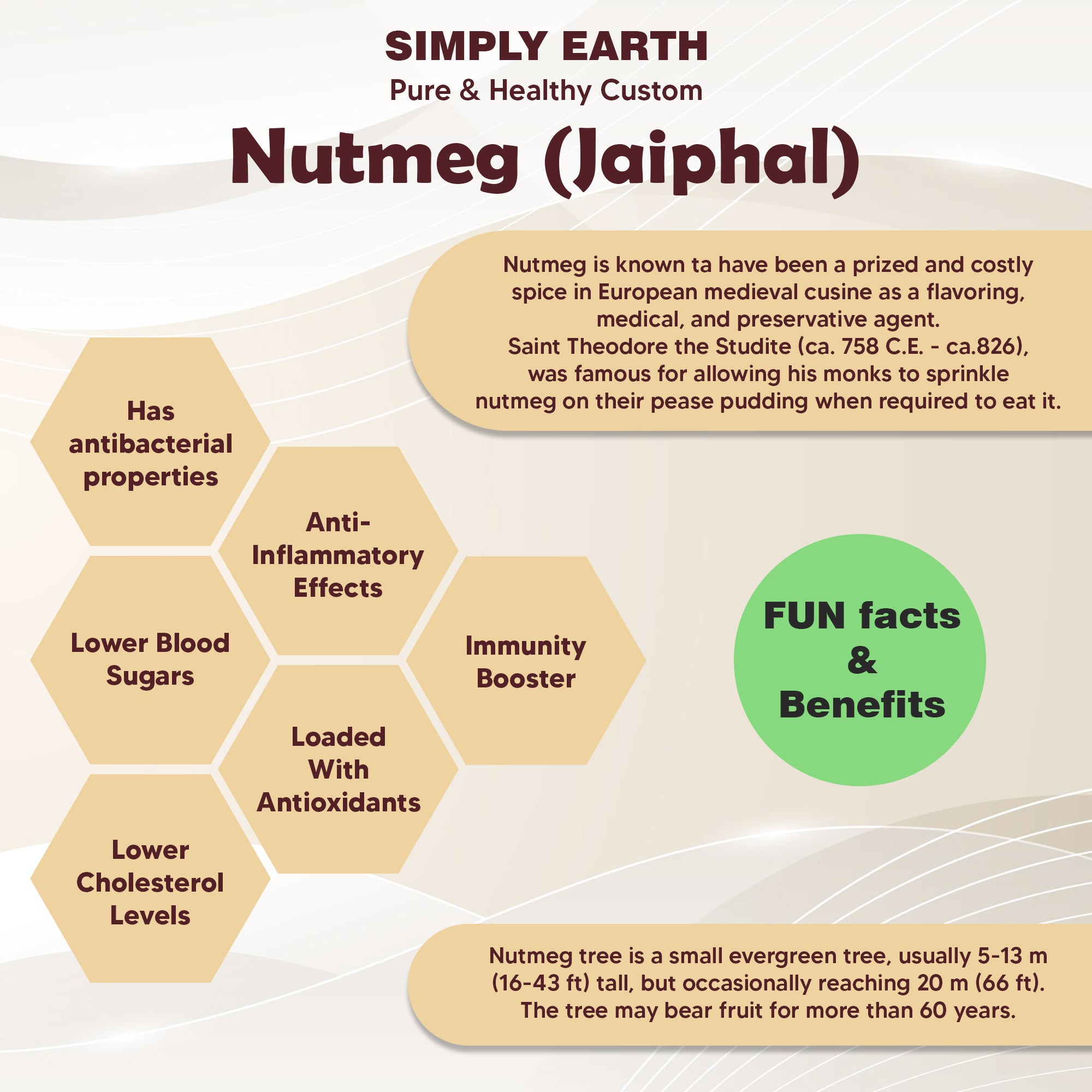 Simply Earth Nutmeg Powder - 100 GM