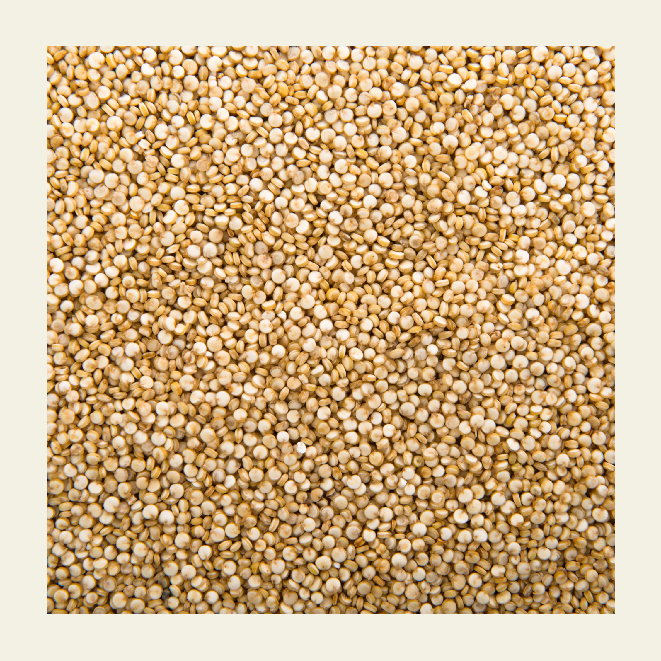 Soil Origin Quinoa Whole - 500 Gm