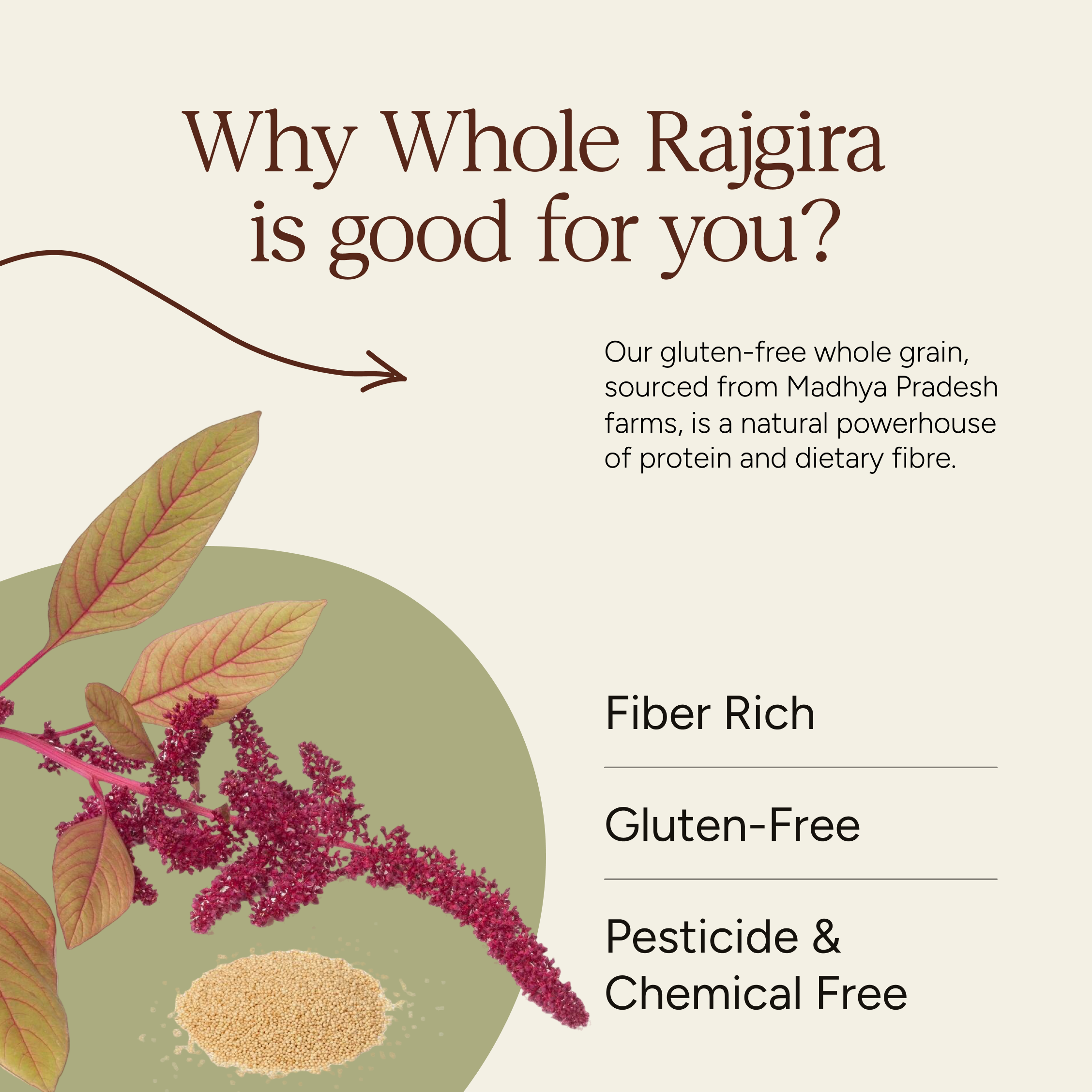 Soil Origin Rajgira Whole (Amaranth) - 500 Gm