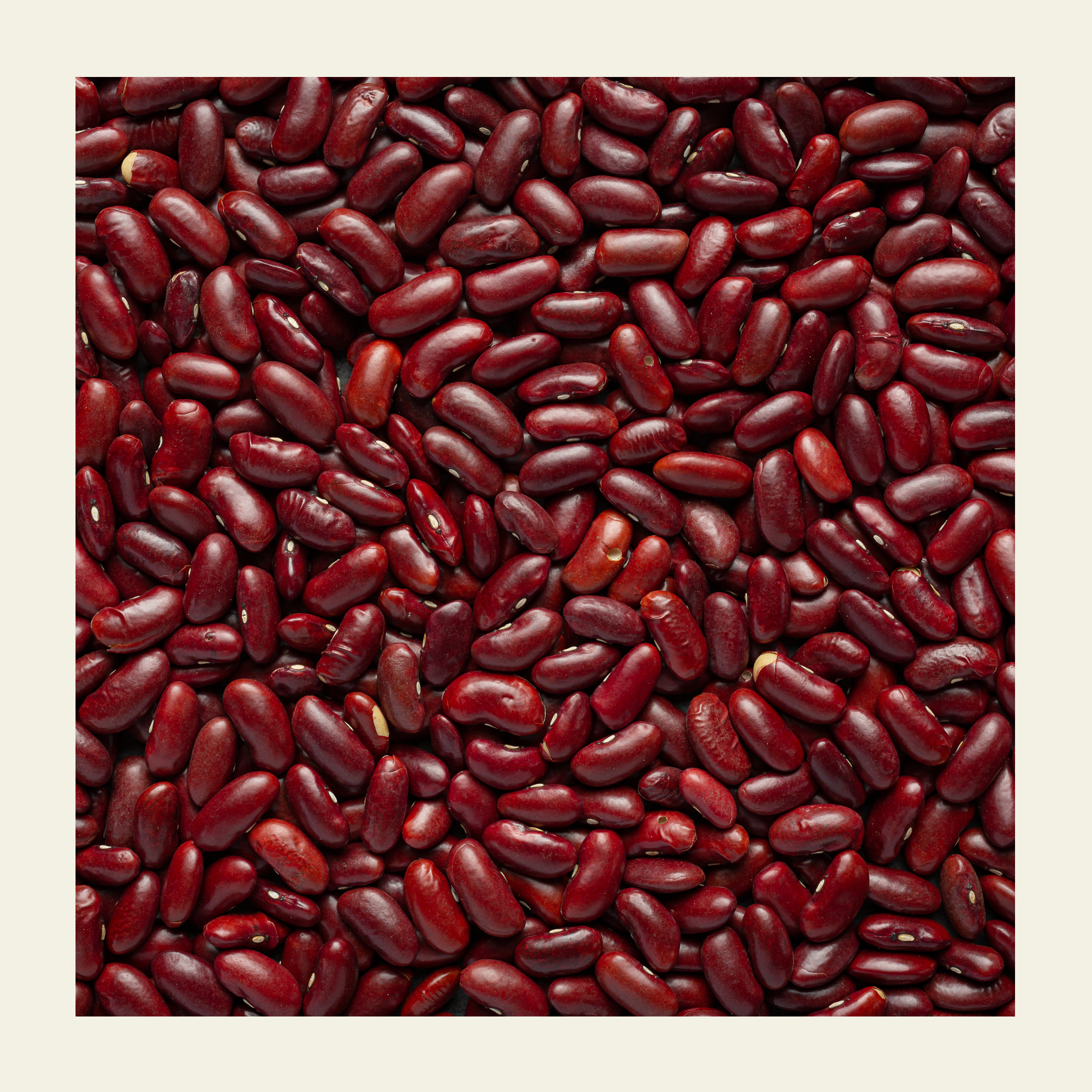 Soil Origin Red Rajma (Kidney Beans) - 500 Gm